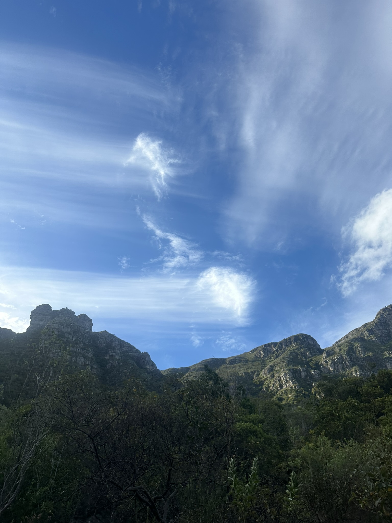South Africa - Image 740